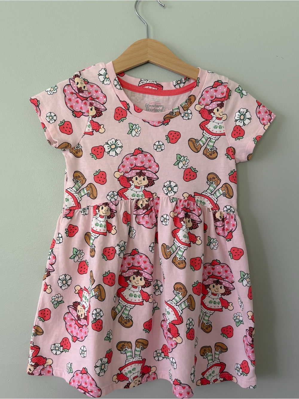 Strawberry Shortcake Pink Girls' Dress